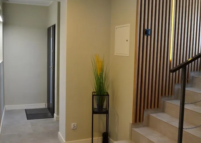 Grafit * Władysławowo